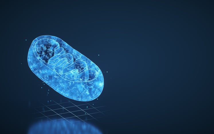 Beyond hyaluronic acid: Bloomage expands mitochondrial function portfolio 