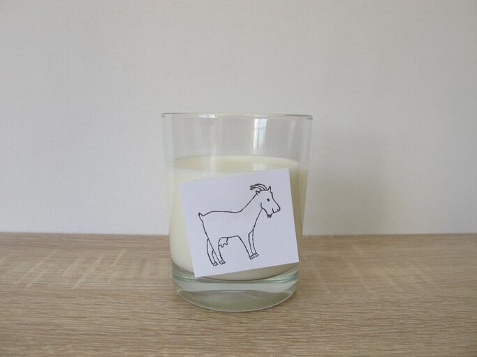 China formula ‘contamination’: Mineral oil hydrocarbon found in all goat-dairy products tested