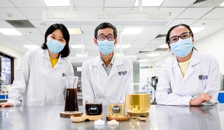 Beneficial brew: NUS researchers develop probiotic tea and coffee with digestive, immune benefits
