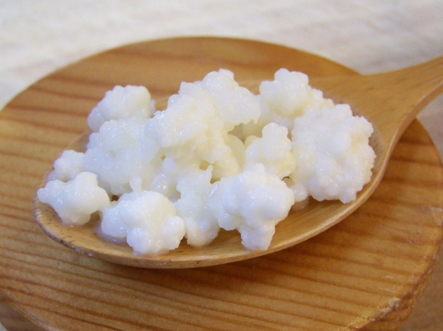 Probiotic from Tibetan kefir grains can provide antioxidant boost to  functional foods: Study