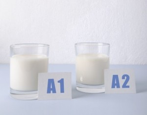 A1 vs A2 milk