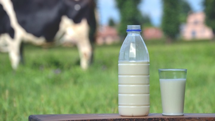 Diabetes from dairy? Cow's milk ingredient may trigger type 1 condition: Review