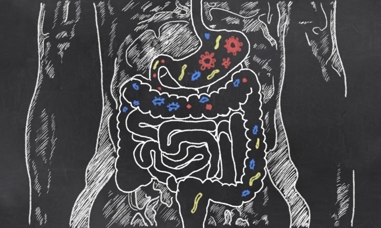 Microbiome and COVID-19: Lower levels of key gut bacteria linked to severity of disease and immune response – China data