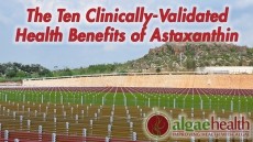 10 Health Benefits of Natural Astaxanthin