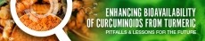 Enhancing bioavailability of curcuminoids from turmeric:  pitfalls & lessons for the future