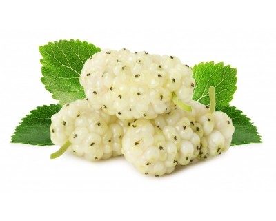 Fruit polysaccharides from white mulberry is a potential treatment for diabetes, say academics. ©iStock