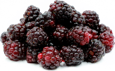 Boysenberry consumption may improve lung function by reducing symptoms of airway inflammation.