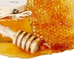 NZ honey research indicates possible wound-healing value
