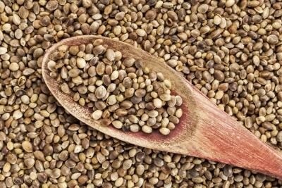 The international market for hemp foods is currently estimated at $1 billion annually.
