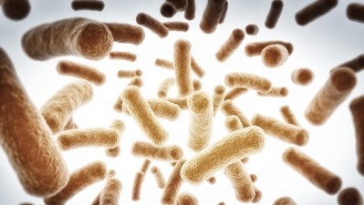 Japanese researchers screened 12 prebiotics and 40 probiotics to try and find combinations that helped fight off oral infections.