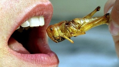 Malaysians still bugged about eating insects