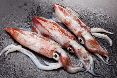 Squid pen protein hydrolysates have functional food potential. ©iStock
