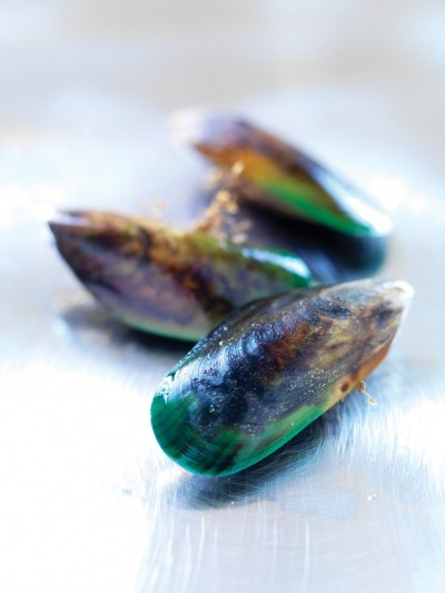 Study shows green-lipped mussel extract to reduce arthritic pains