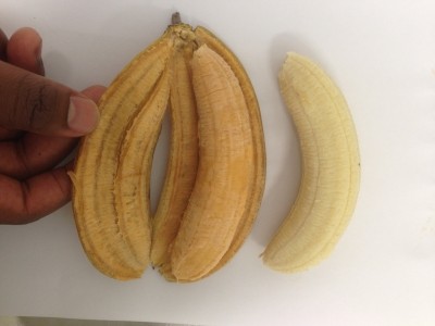 Ugandan farmers will begin growing the pro-vitamin A rich bananas in 2021.