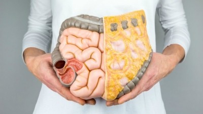Researchers believe this is the first study to show relationships between faecal microbiota and habitual dietary intake in Japanese people. ©iStock