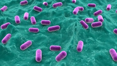 The study's meta-analyses suggested that the probiotic strain EcN 1917 was similarly efficacious when compared with the IBD drug mesalazine. ©Getty Images
