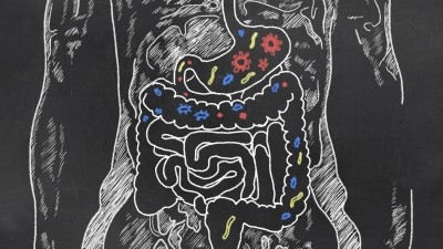 Science Shorts: Protein versus probiotics, dietary impact on diabetes risk, microalgae functionality and more