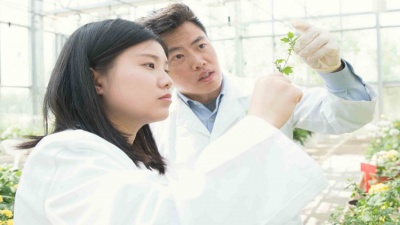Scientists examine Traditional Chinese Medicine plants from the Amway (China) Botanical Research & Development Center in Wuxi, China. ©Amway Global Media Guide