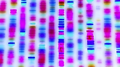 B2BからB2Cへ：日本の遺伝子検査大手、希少疾病の解決策を見つけるよう業界へアピール