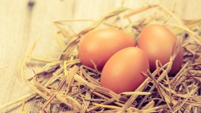 一日、一個の卵がお菓子への欲求を遠ざける：キューピーによる研究