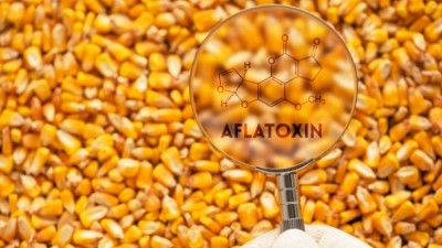 Aflatoxin was found in herbal health products and plant food supplements (PFS) in Malaysia © Getty Images  