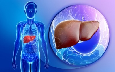 Liver fibrosis results in gut flora imbalance, which in turn further aggravates liver fibrosis. ©iStock