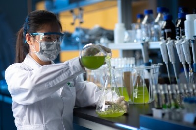 Chinese/American company Lyxia produces an EPA ingredient from a Nannochloropsis algal strain. Photo courtesy of Lyxia.