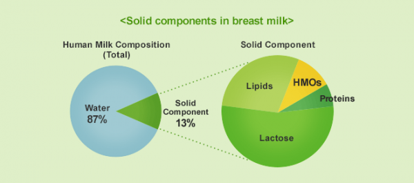 Fig 1. Components in breast milk
