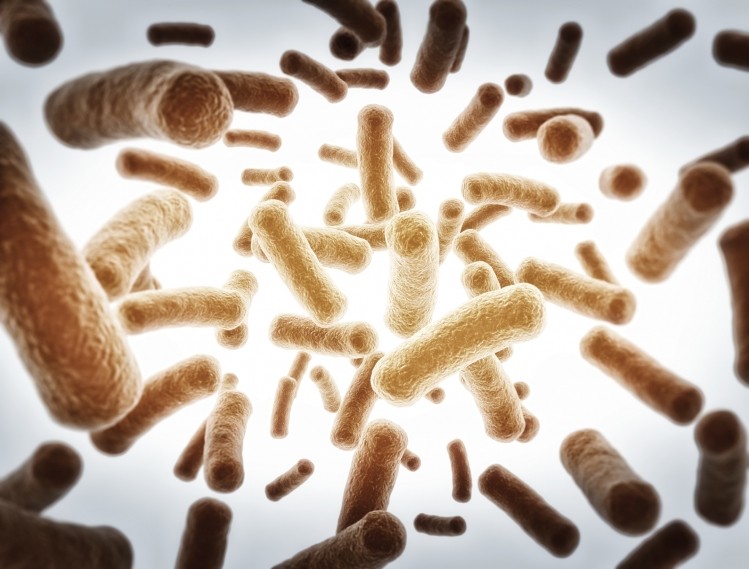 Probiotics could help battle Japans’ ‘national affliction’ with cedar pollen