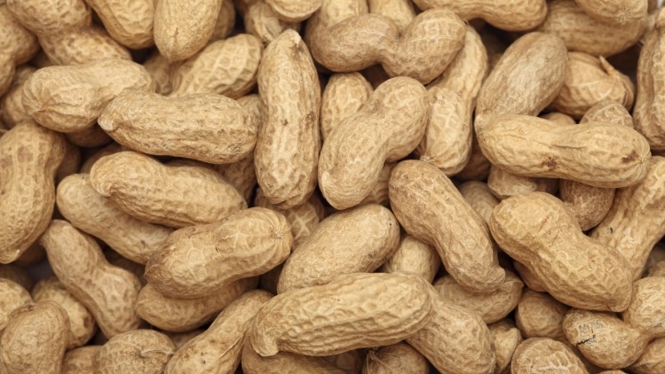 The treatment successfully cured children who had a peanut allergy. ©iStock