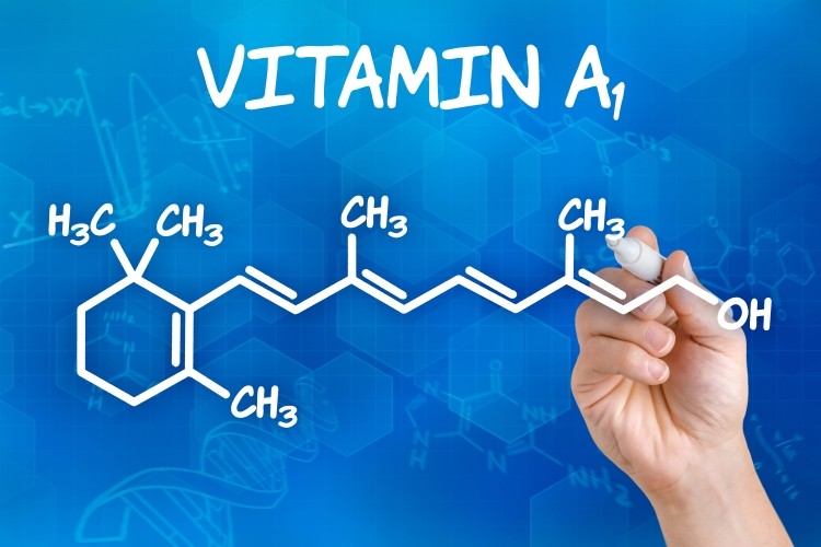Vitamin A deficiency during pregnancy affects learning and memory in adulthood. ©iStock