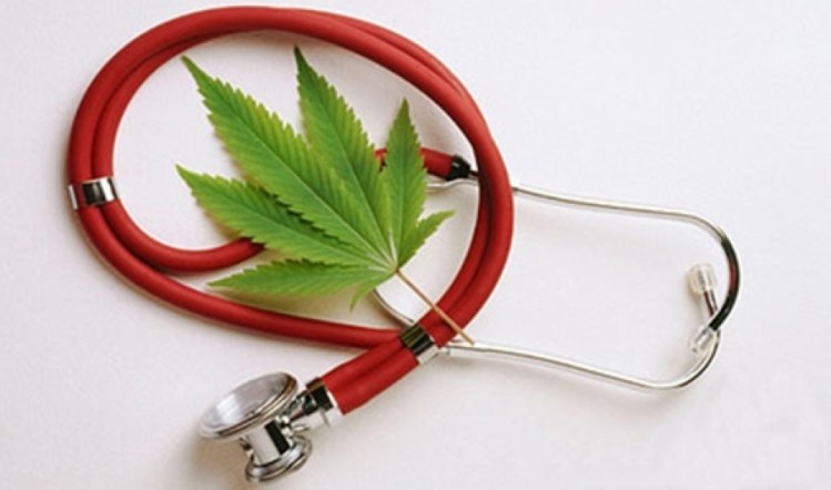 Cannabinoids are 'a possible key player in elderly medical care'.