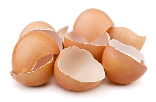 Egg shell powder showed positive effects against inflammatory bowel disease. © iStock
