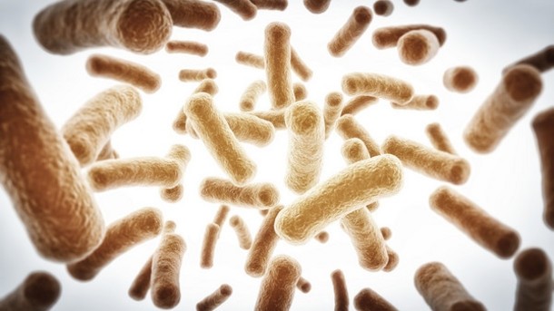 Probiotics are projected to be the fastest growing segment. ©iStock 
