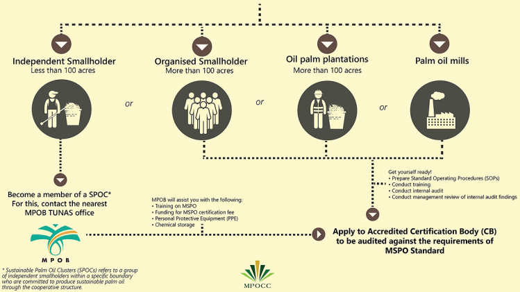 How to obtain Malaysian Sustainable Palm Oil (MSPO) certitication. ©MPOCC