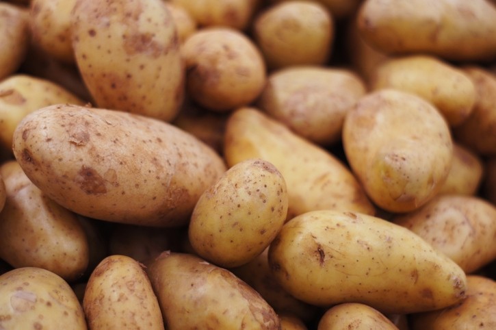 Australia is initiating a starch project to turn unwanted potatoes into prebiotics, low-GI ingredient, and vodka. ©Getty Images