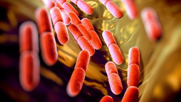 Manipulating the gut microbiome could help treat IBD. ©iStock
