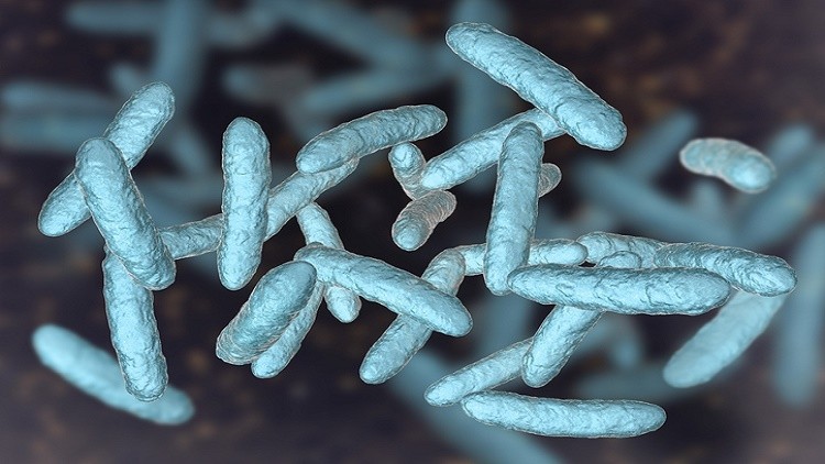 Microbiota is one of the hottest research topics in the past few years. ©Getty Images
