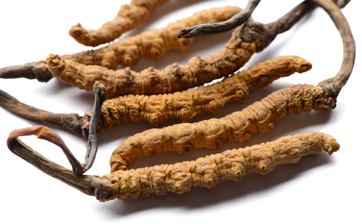 Nova Organic makes cordyceps supplements only using the Cordycep sinensis species. ©Getty Images