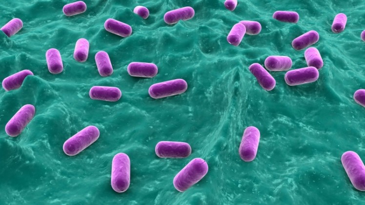  BLIS recently received approval from Australian regulatory body the TGA for one of its probiotic strains. ©Getty Images