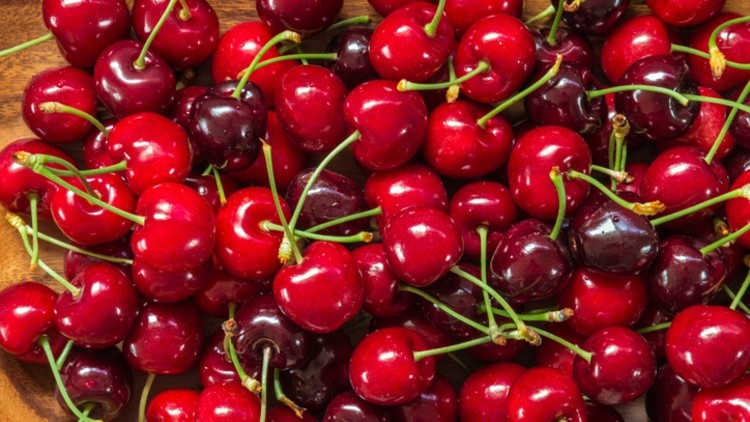 New Zealand is investigating nutritional benefits of the cherry in conjunction with the Riddet Institute. ©Getty Images
