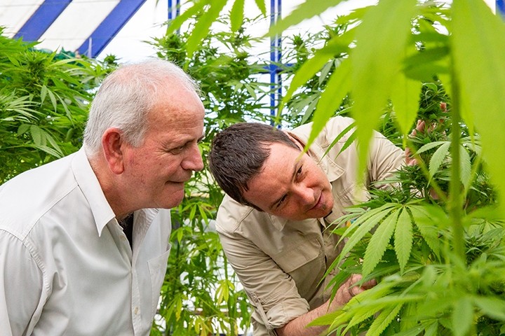 Associate Professor Tobias Kretzschmar (right), a world expert in plant breeding and genetics of Southern Cross University, with Andrew Kavasilas, CEO of industry partner Kavasil Pty Ltd. 