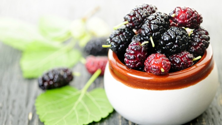 Mulberry contains significant amounts of biologically active ingredients associated with potentially beneficial pharmacological effects on health. ©Getty Images