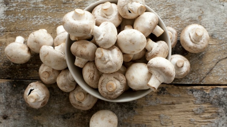 Six types of mushrooms were referenced in the study: golden, oyster, shiitake, white button, dried, and canned. ©Getty Images