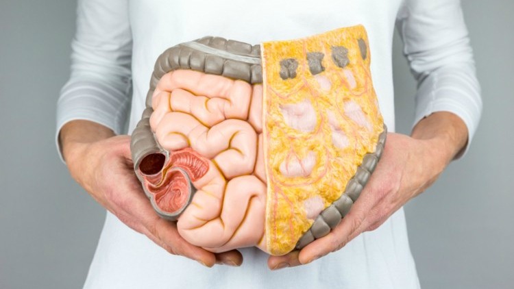 Probiotics can normalise gut microbiota and alleviate indigestion. ©iStock