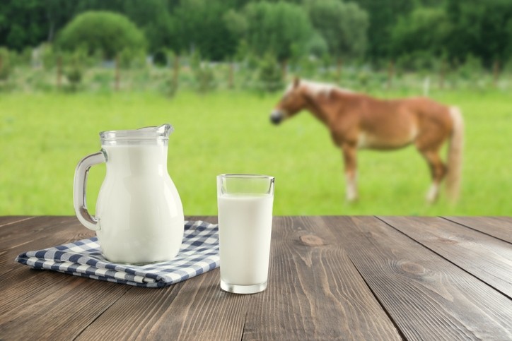 Fermented mare’s milk increases metabolites associated to cholesterol-lowering effect – China faecal study ©Getty Images