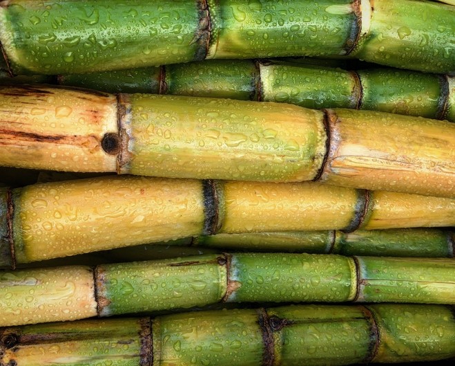 The Product Makers reveals its sugarcane extract may protect against inflammation and neurological degeneration in pre-clinical study ©Getty Images