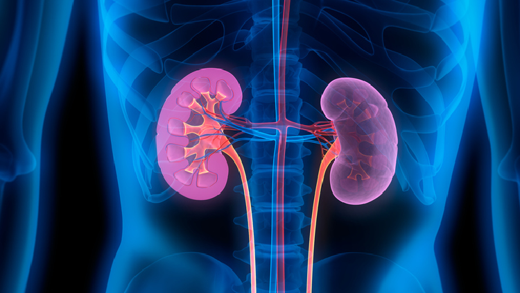 A trial conducted in Malaysia found that tocotrienol-rich vitamin E is able to improve diabetic patients’ renal functions and the effects persist even nine months after the washout period. © Getty Images 