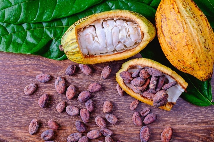 Cocoa fruit, pods and beans. Image © Getty Images / Narong KHUEANKAEW