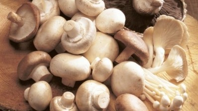 Researchers believe large-scale production of a mushroom-based sports drink could help to combat the world’s food waste problem. ©iStock